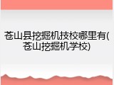 苍山县挖掘机技校哪里有(苍山挖掘机学校)