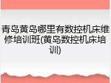 青岛黄岛哪里有数控机床维修培训班(黄岛数控机床培训)