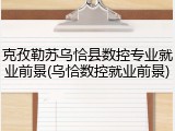 克孜勒苏乌恰县数控专业就业前景(乌恰数控就业前景)