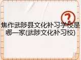 焦作武陟县文化补习学校是哪一家(武陟文化补习校)