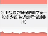 凉山盐源县编程培训学费一般多少钱(盐源编程培训费用)