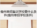 儋州单招集训学校要什么条件(儋州单招学校条件)