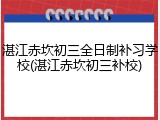湛江赤坎初三全日制补习学校(湛江赤坎初三补校)
