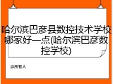 哈尔滨巴彦县数控技术学校哪家好一点(哈尔滨巴彦数控学校)