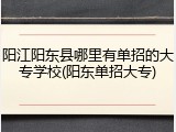 阳江阳东县哪里有单招的大专学校(阳东单招大专)