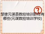楚雄元谋县数控培训职校有哪些(元谋数控培训学校)