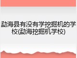 勐海县有没有学挖掘机的学校(勐海挖掘机学校)