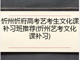 忻州忻府高考艺考生文化课补习班推荐(忻州艺考文化课补习)