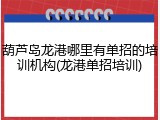 葫芦岛龙港哪里有单招的培训机构(龙港单招培训)