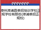 漳州漳浦县单招培训学校正规学校有那些(漳浦单招正规校)