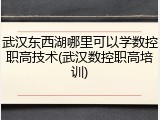 武汉东西湖哪里可以学数控职高技术(武汉数控职高培训)