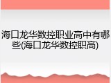 海口龙华数控职业高中有哪些(海口龙华数控职高)