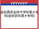 定安县农业技术学校是大专吗(定安农校是大专吗)