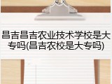 昌吉昌吉农业技术学校是大专吗(昌吉农校是大专吗)