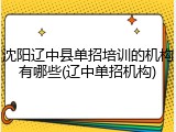 沈阳辽中县单招培训的机构有哪些(辽中单招机构)