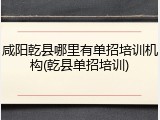 咸阳乾县哪里有单招培训机构(乾县单招培训)