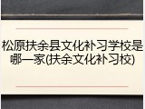 松原扶余县文化补习学校是哪一家(扶余文化补习校)