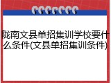 陇南文县单招集训学校要什么条件(文县单招集训条件)