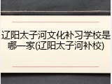 辽阳太子河文化补习学校是哪一家(辽阳太子河补校)