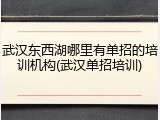 武汉东西湖哪里有单招的培训机构(武汉单招培训)