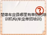 楚雄牟定县哪里有单招的培训机构(牟定单招培训)