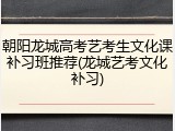 朝阳龙城高考艺考生文化课补习班推荐(龙城艺考文化补习)