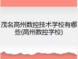 茂名高州数控技术学校有哪些(高州数控学校)