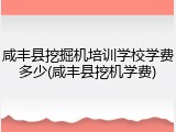 咸丰县挖掘机培训学校学费多少(咸丰县挖机学费)