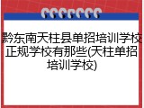 黔东南天柱县单招培训学校正规学校有那些(天柱单招培训学校)