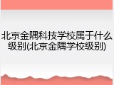 北京金隅科技学校属于什么级别(北京金隅学校级别)