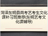 菏泽东明县高考艺考生文化课补习班推荐(东明艺考文化课辅导)