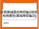 许昌襄城县找单招集训的机构有哪些(襄城单招集训)