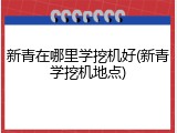 新青在哪里学挖机好(新青学挖机地点)