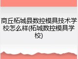 商丘柘城县数控模具技术学校怎么样(柘城数控模具学校)