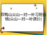 双鸭山尖山一对一补习班价格(尖山一对一补课价)