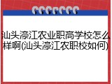 汕头濠江农业职高学校怎么样啊(汕头濠江农职校如何)