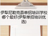 伊犁尼勒克县单招培训学校哪个最好(伊犁单招培训优选)