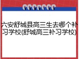 六安舒城县高三生去哪个补习学校(舒城高三补习学校)