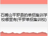 石嘴山平罗县的单招集训学校哪里有(平罗单招集训校)