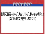 朝阳县挖机培训机构有哪些(朝阳县挖机培训)