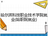 哈尔滨科技职业技术学院就业(哈职院就业)