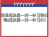 菏泽成武县一对一补习班价格(成武县一对一补习价)