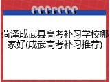 菏泽成武县高考补习学校哪家好(成武高考补习推荐)