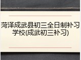 菏泽成武县初三全日制补习学校(成武初三补习)