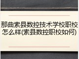 那曲索县数控技术学校职校怎么样(索县数控职校如何)