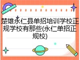 楚雄永仁县单招培训学校正规学校有那些(永仁单招正规校)