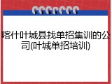 喀什叶城县找单招集训的公司(叶城单招培训)