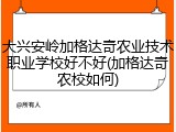 大兴安岭加格达奇农业技术职业学校好不好(加格达奇农校如何)