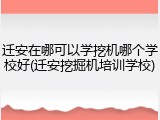 迁安在哪可以学挖机哪个学校好(迁安挖掘机培训学校)