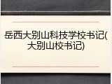 岳西大别山科技学校书记(大别山校书记)
